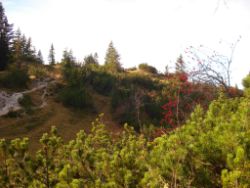 2013-10-26_Schildenstein (282).JPG